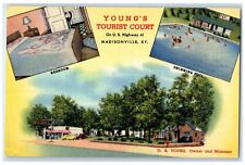 c1960s Young's Tourist Exterior Roadside Madisonville Kentucky KY Pool Postcard picture