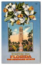 The Singing Tower (Bok Memorial) Near Lake Wales, Florida Postcard picture