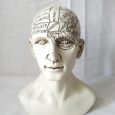 19th Century Antique Replica Science of Phrenology Head Reading Statue Bust picture