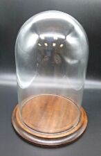 8x12 In. Glass Dome With Walnut Wood Base picture