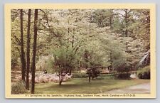 Postcard Springtime In The Sandhills Highland Road Southern Pines North Carolina picture