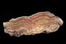 Large Polished Indonesian Lace Agate Slab picture