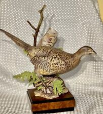 Rare Royal Worcester 1967 Female Ringed Neck Pheasant By Ronald Van Ruyckevelt picture