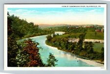 Blairsville PA-Pennsylvania, View Of Conemaugh River Vintage Souvenir Postcard picture