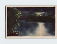 Postcard Lake Trees Evening Scenery picture