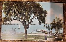 Jacksonville,Fla - View From Phoenix Park - Postcard C. 1907-1915 picture
