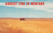 Harvest Time in Montana c1950 Postcard 4248 picture