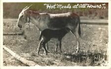 1942 Hot Meals at all Hours Mules RPPC real photo postcard 508 picture