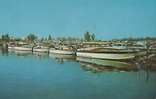 Yachts at Snug Harbor in New Buffalo Michigan Chrome Vintage Post Card picture