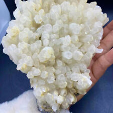 4.31LB A+++Natural white Crystal Himalayan quartz cluster /mineralsls picture