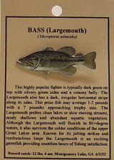 NEW LARGEMOUTH BASS FISH HAT PIN LAPEL PINS picture