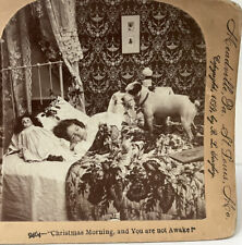 Christmas Morning 1899 Keystone Photo Stereoview Dog Waking Child  BL Singley picture