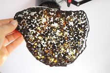 205g Natural meteorite,Slice olive meteorite-from Kenya SERICHO,collection N3685 picture