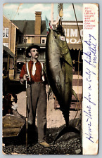 Fishing Avalon Catalina Island California Tuna Caught  with Rod and Line Postcar picture