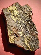 Extraordinary Rich Gold Ore High Grade Gold Specimen  picture