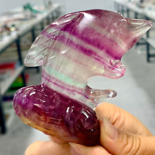 224G Natural Purple Green fluorite Handcarved dolphin Crystal Specimen picture