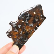 27g Sericho meteorite pallastie meteorite slice from Kenya R1587 picture