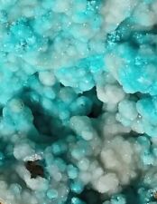 AAA+ Rare Furry Aurichalcite Botryoidal Hemimorphite Museum Quality Crystal  picture