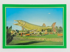 The Worlds Largest Musky National Fishing Hall of Fame in Hayward WI Postcard picture
