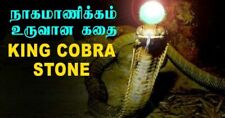 King Cobra pearl | Cobra Stone Nagamani | King Cobra Snake pearl | Nagamani Ston picture