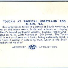 c1940s Miami, FL Linen Tropical Hobbyland Zoo Souvenir Card Toucan AAA Biz C44  picture