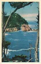 Carmel CA, Bluefish Bay, California Hwy 1, Point Lobos, Vintage Postcard picture