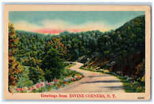 1948 Road Scene Greetings from Divine Corners New York NY Vintage Postcard picture