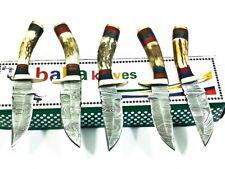 LOT OF 5 PCs 5.55 INCH HANDMADE DAMASCUS STEEL HUNTING KNIFE SKINNER KNIFE STAG picture