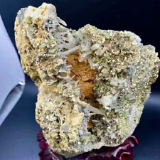 12.45LB Natural pyrite clear quartz cluster rare mineral specimen healing picture