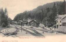 Brunig Switzerland Austria Train Station Pension Alpina Vintage Postcard AA83451 picture