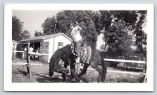 Original Vintage Antique Photo Lady Riding Horse Cars B&W Kearney Nebraska 1949 picture