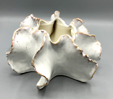 White Ceramic Hand Made Urchin Vase picture