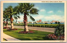 Corpus Christi Texas, 1945 Ocean Drive, Pathway, Seaside, Palm Trees, Postcard picture