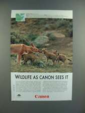 2003 Canon Ad w/ Ethiopian Wolf - Wildlife picture