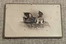 Antique Rare Victorian CDV Photo Of Striped Tabby Kittens Cats Basket picture