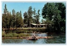c1950's Canoe Inn Resort Motel River Grayling Michigan MI Vintage Postcard picture