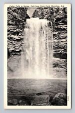 Morrilton AR-Arkansas, Cedar Falls In Springs, State Park, Vintage Postcard picture