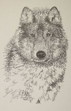 Gray Wolf Art Print Lithograph #93 Signed Kline DRAWING FROM WORDS wolves GIFT picture