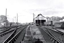 PHOTO BR British Railways Shed View  at Pembroke Dock in 1957 - 18/05/1957 picture