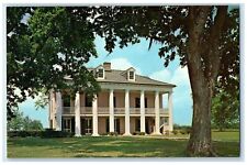 c1960's Chalmette National Historical Park New Orleans LA Unposted Tree Postcard picture
