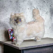 ANIMAL MAJESTY Realistic Life Size Persian Cat Purple Eyes Rare Plush Figure  picture