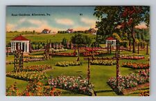 Allentown PA-Pennsylvania, Rose Gardens, Antique, Vintage c1945 Postcard picture