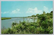 Postcard Black Banks River, Sea Island, Georgia picture