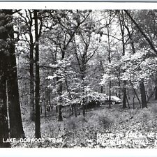 c1950s Palestine, TX RPPC Davey Lake Dogwood Trail Real Photo Postcard Cars A120 picture