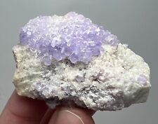 Rare Full Terminated Apatite Crystals' Cluster Plate with Lepidolite on Matrix picture