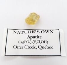 Nature's Own Apatite Yellow Rough Crystal Quebec 3.7g (17mm x 13mm) picture