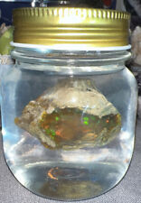 OPAL Raw Crystal - Floating Opal, A Grade - Ethiopian Welo Water Opal picture