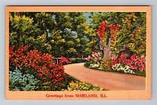 Shirland IL-Illinois, Scenic Greetings Flowered Roadway Vintage Postcard picture