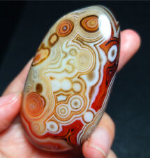 TOP 56G Natural Silk Banded Lace Agate Sardonyx Crystal Stone Madagascar Z54 picture