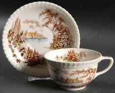 Johnson Brothers Castle On The Lake Brown Multicolor Cup & Saucer 274207 picture